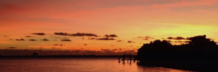 z_anne_'s profile banner image