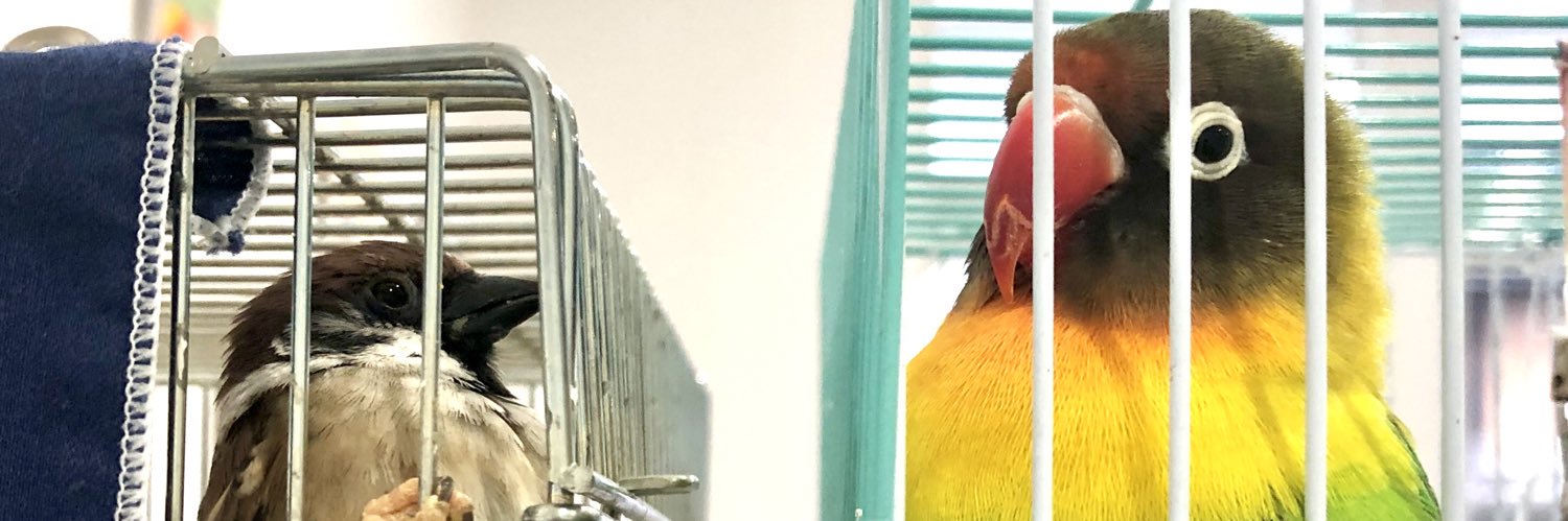 unbeau's profile banner image