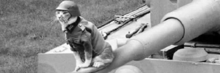 rodrigozapu's profile banner image