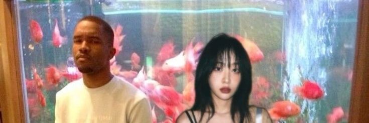 🍿 banner
