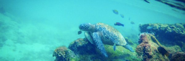 madd_em Profile Banner