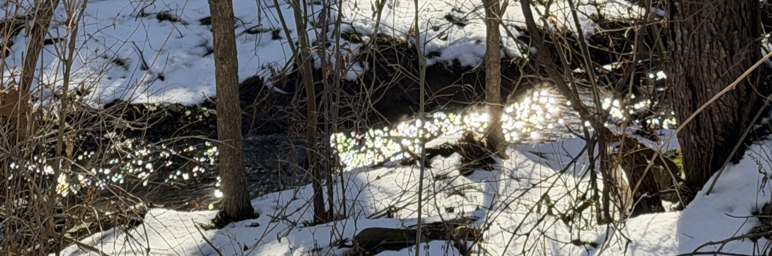 gentilcore_'s profile banner image