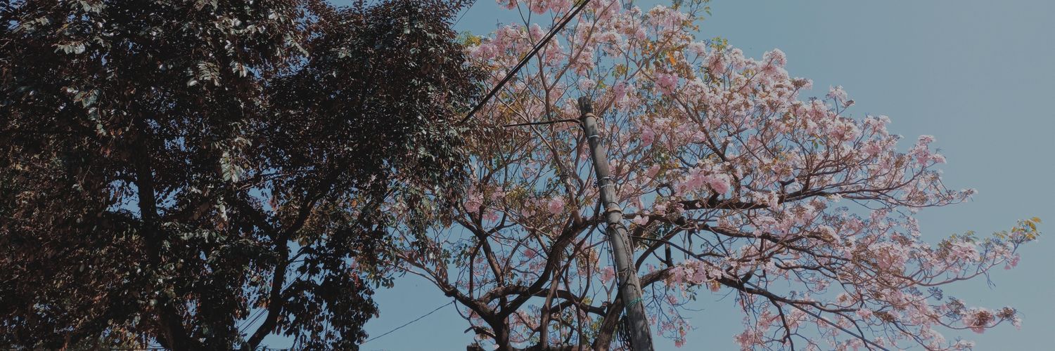 PamelaGalan4's profile banner image