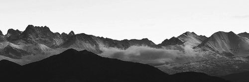 niceforwhaat's profile banner image