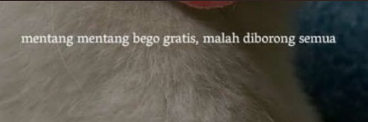 NFMAIB's profile banner image
