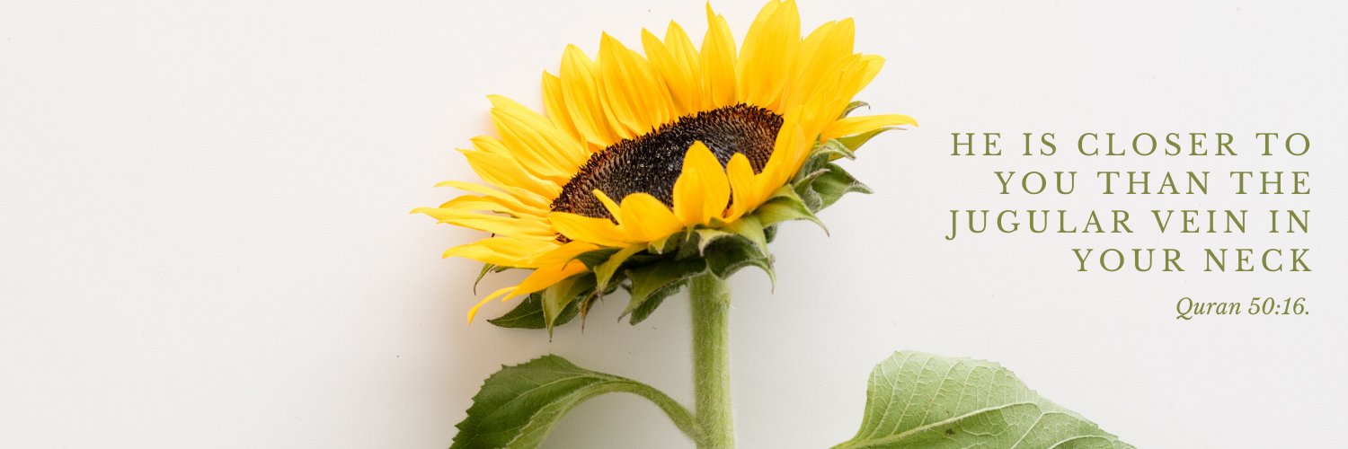 🌺 عائشة‎ banner