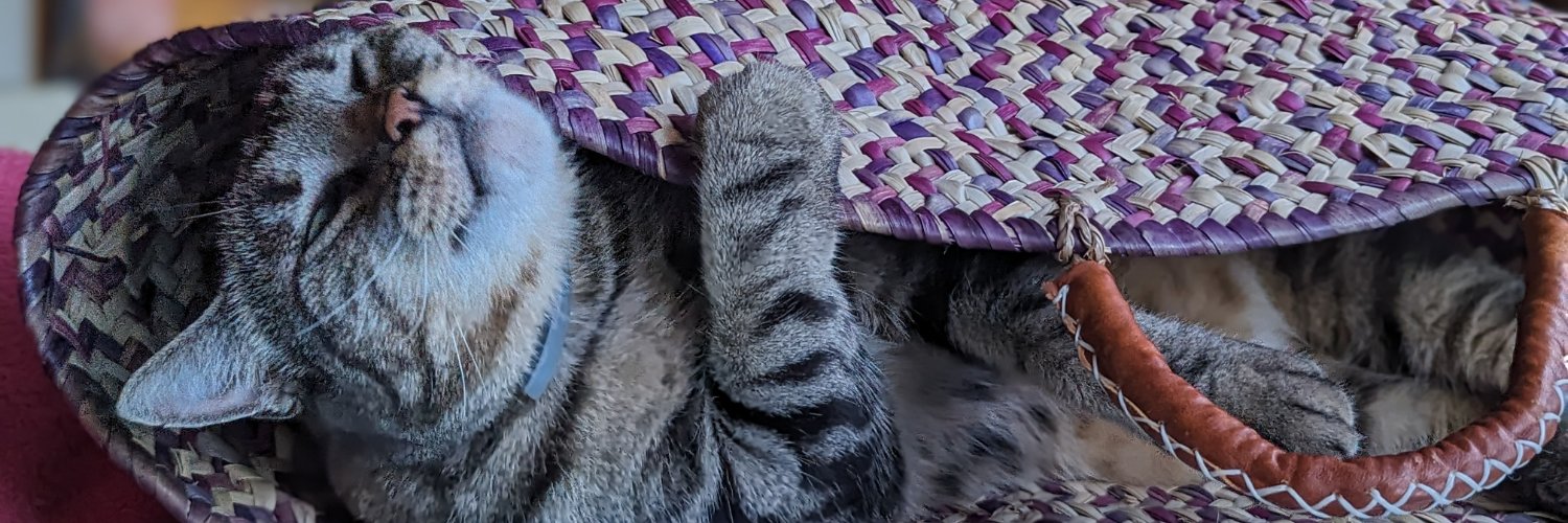 Hubert - 🇫🇷 🇺🇸 -💸🌳🏓🚗⚡🛸👽 banner