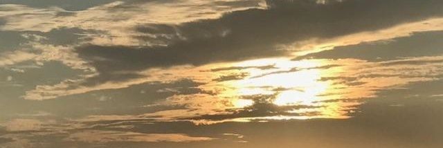 lynwade's profile banner image