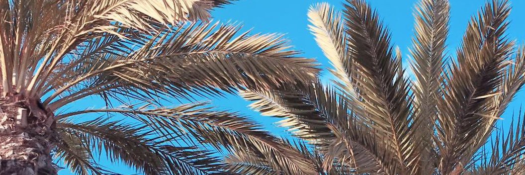 Smoothsouf's profile banner image