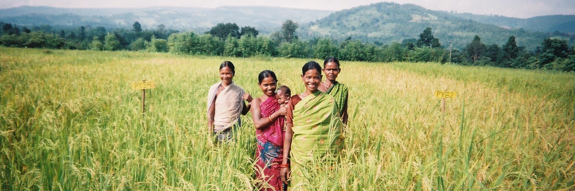 Iamrpavan's profile banner image