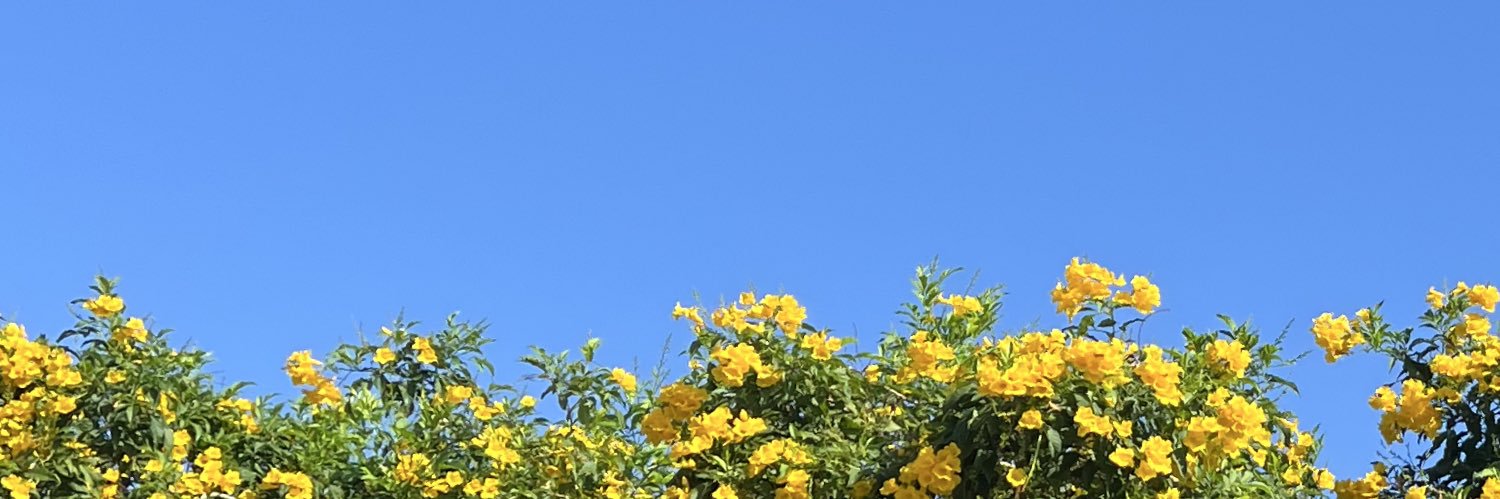 ImmIrisa's profile banner image