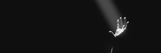 Тонипермана banner