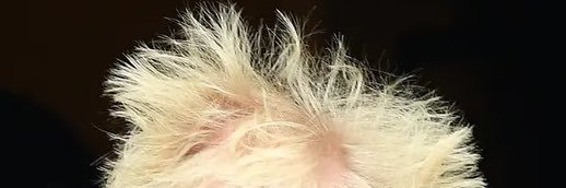 🇬🇧 Dave 🇬🇧 banner