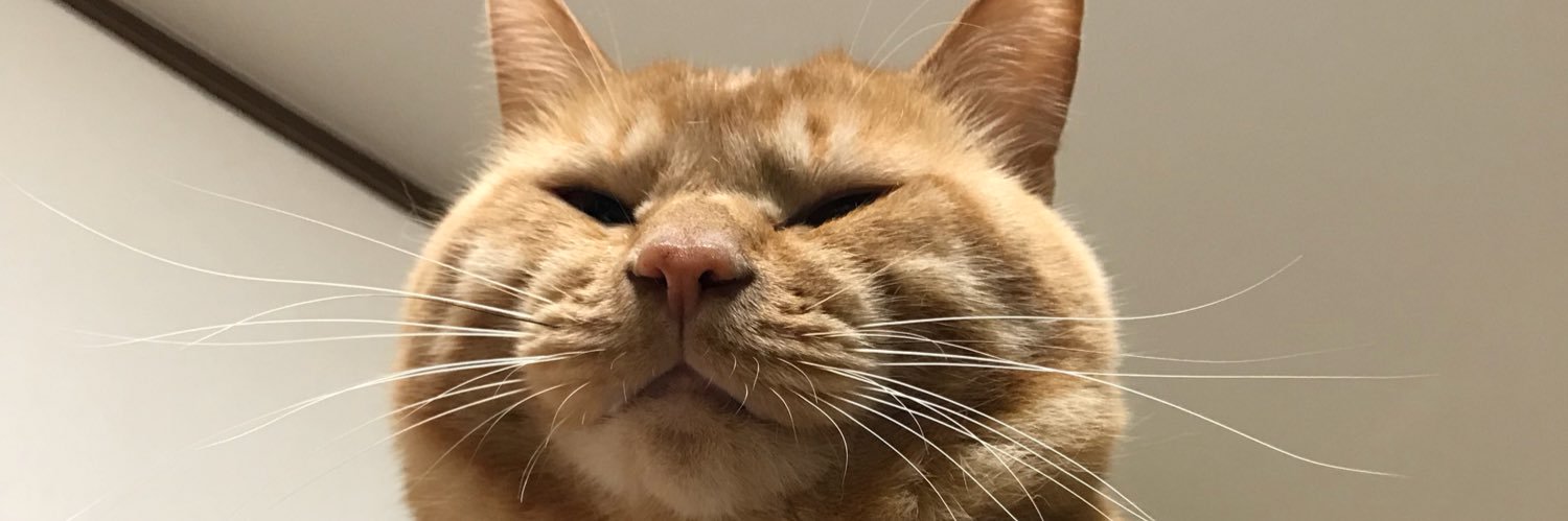 so_S_mo's profile banner image