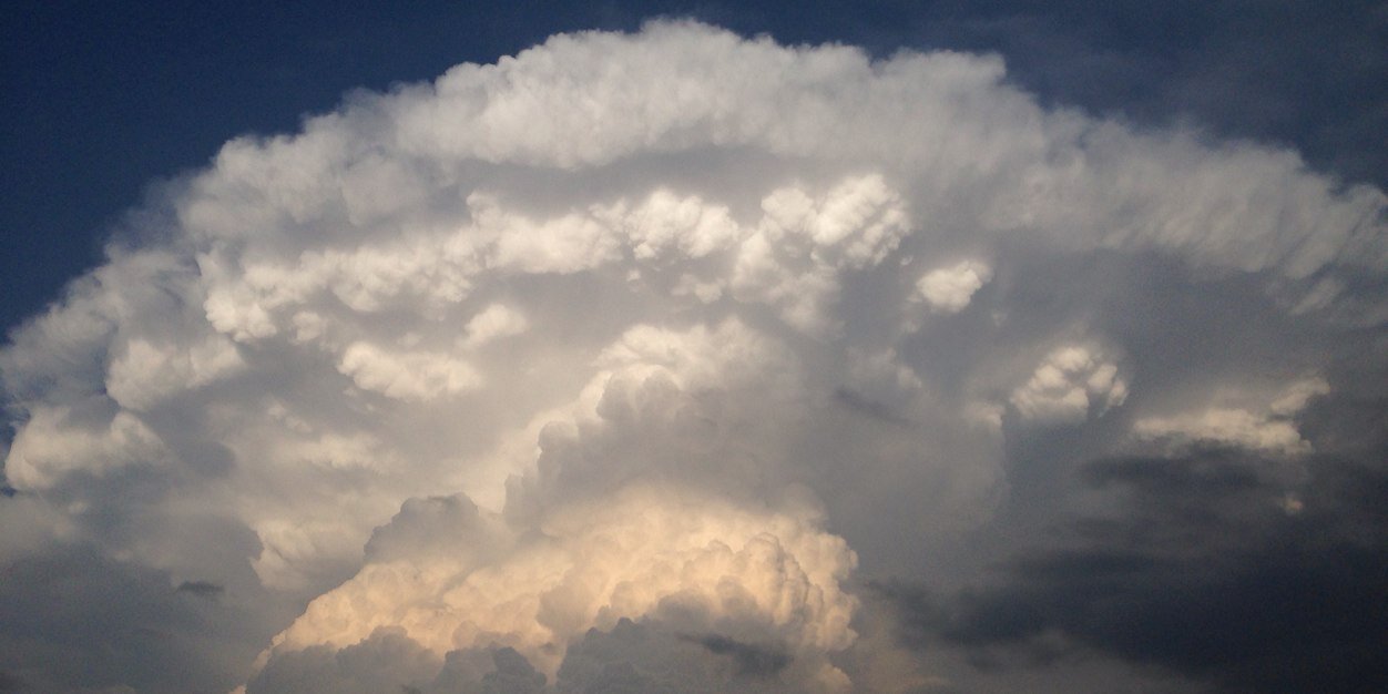 Nicole Loeffler banner