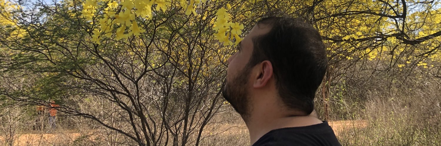voldemort242's profile banner image