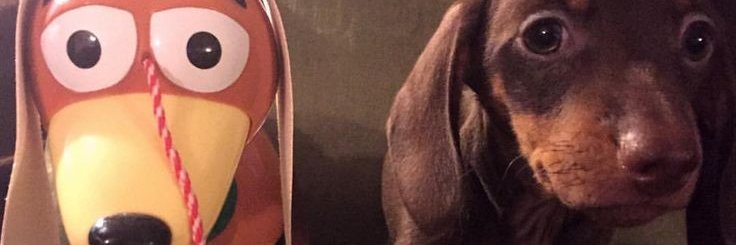 bamyern's profile banner image
