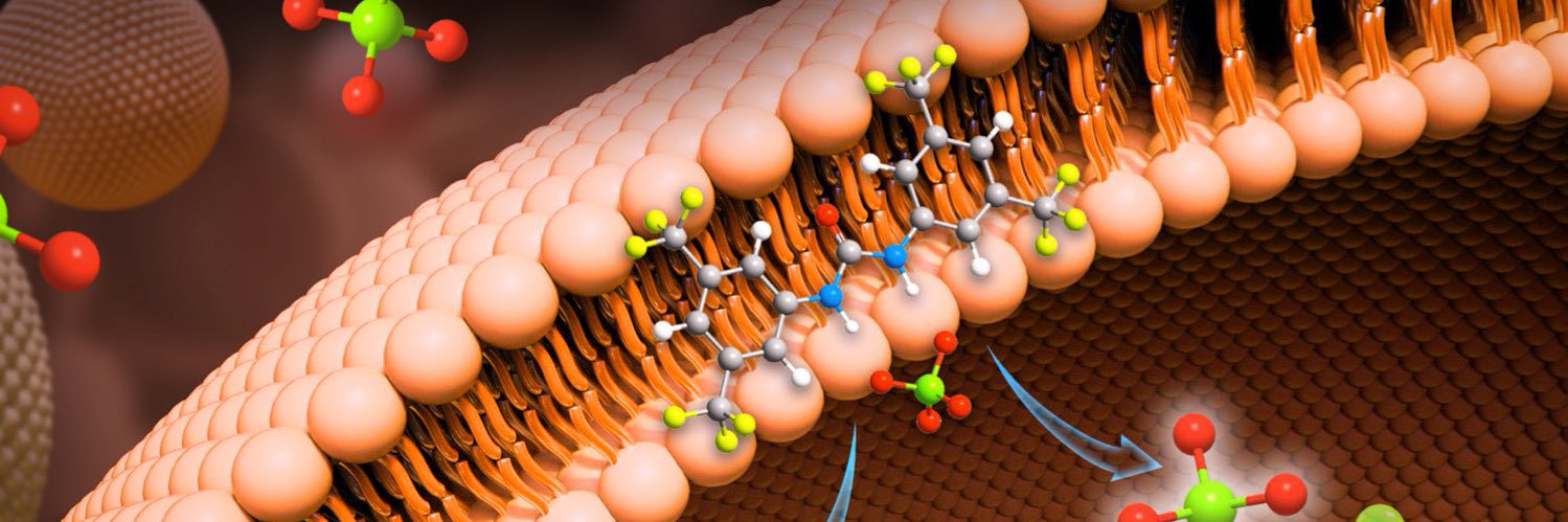 Gale Research Group banner