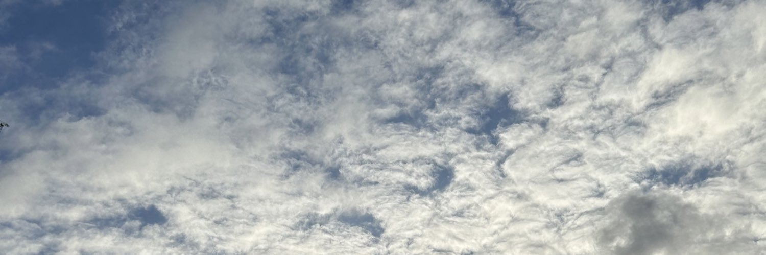 shaaineee's profile banner image
