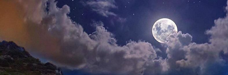 Good_Long_Dick's profile banner image
