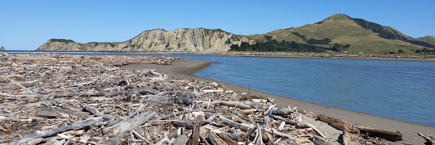 Sass.Campbell banner