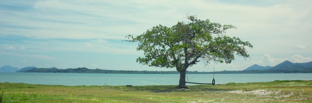 natthawatto's profile banner image