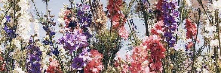 MariaPierrini's profile banner image