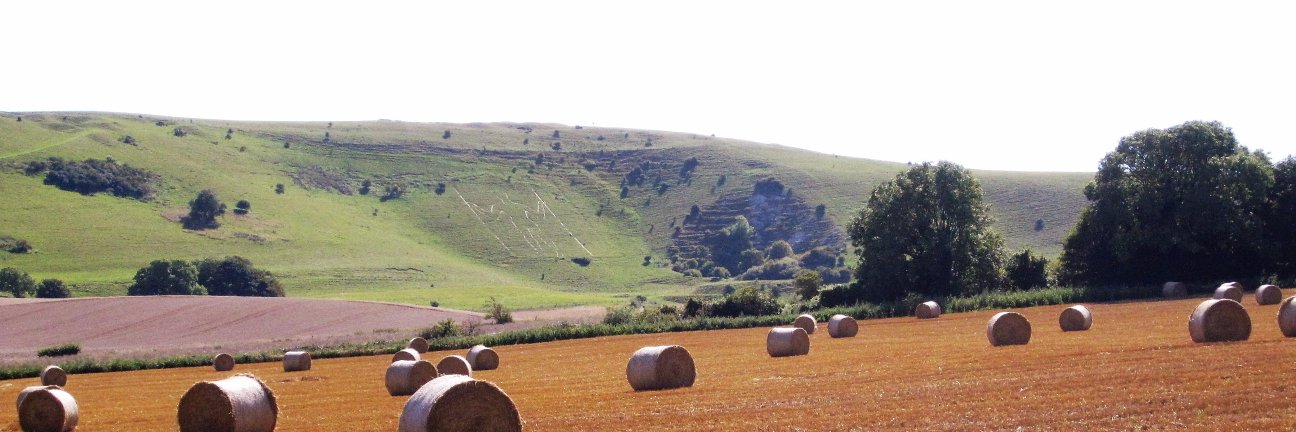 Anne Patricia Locke banner