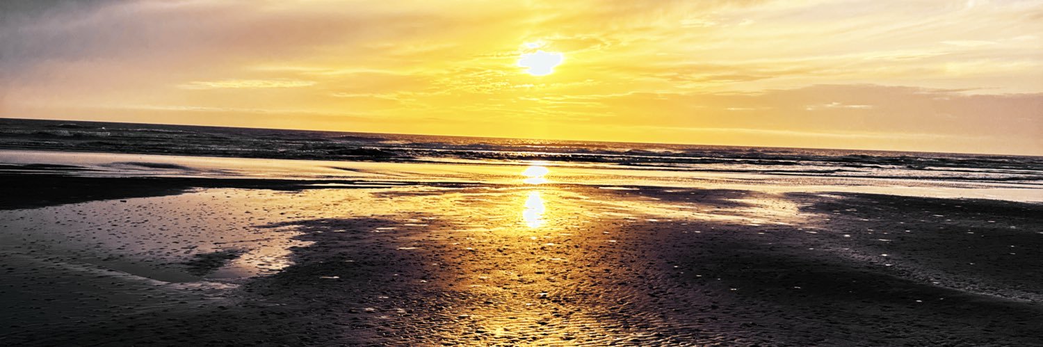 wlfuer's profile banner image