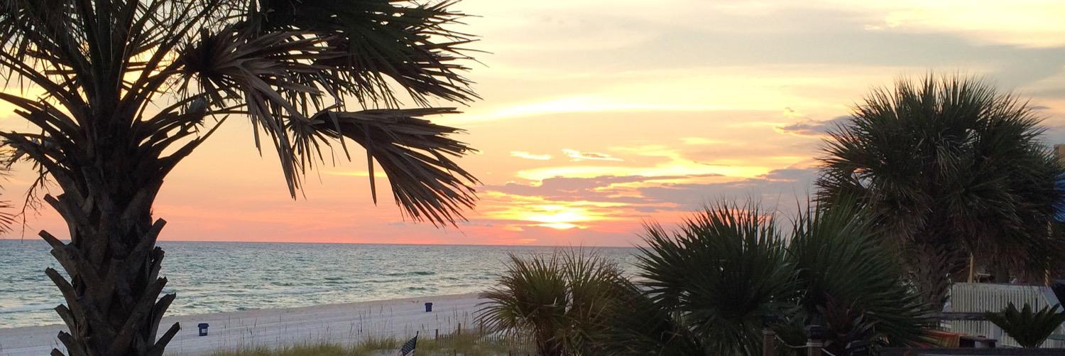 nick_sebaugh's profile banner image