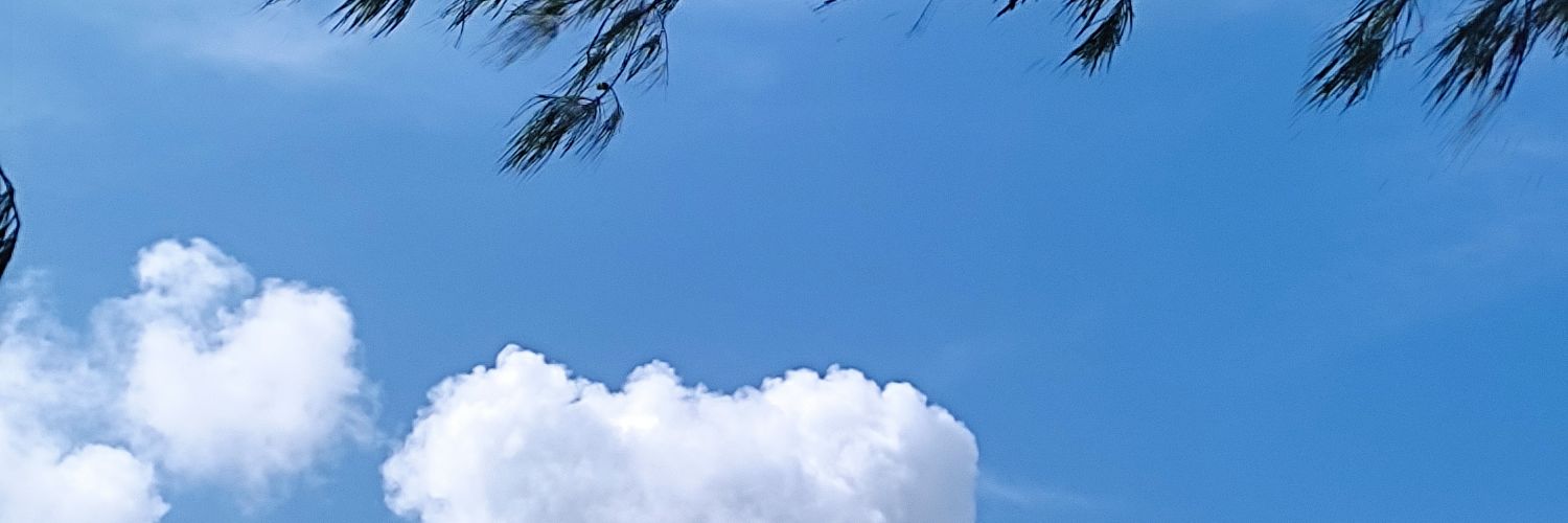ryumadness's profile banner image