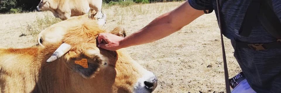 Emmanuel Durget banner