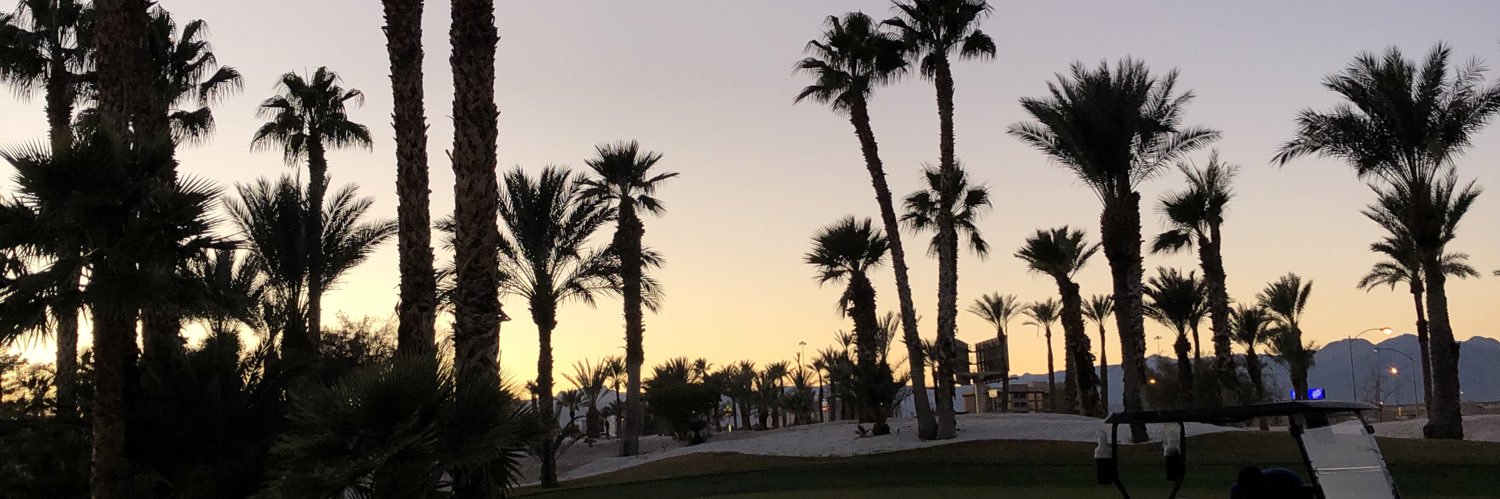 halstonhammonds's profile banner image