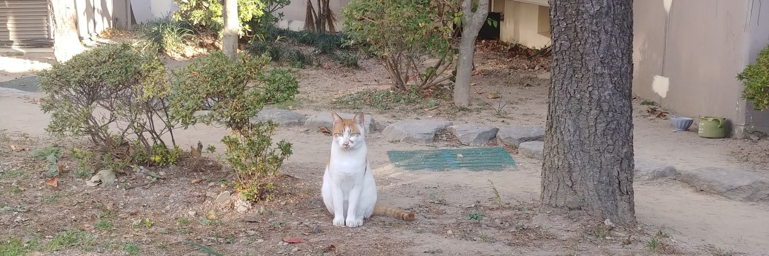 해삼 한 토막에 소주 두병! banner