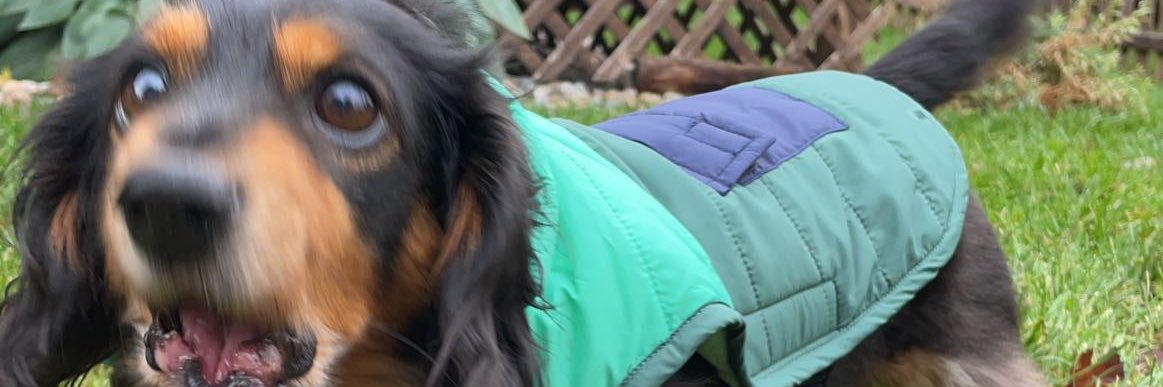 samismyname69's profile banner image