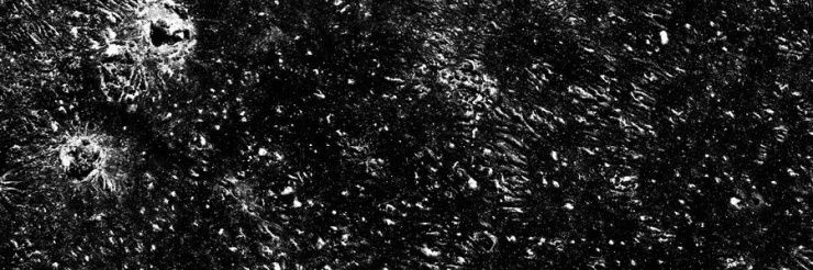 ..... Q¿?정!원¿¡ banner