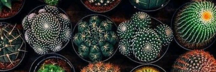 MariaSalomon09's profile banner image