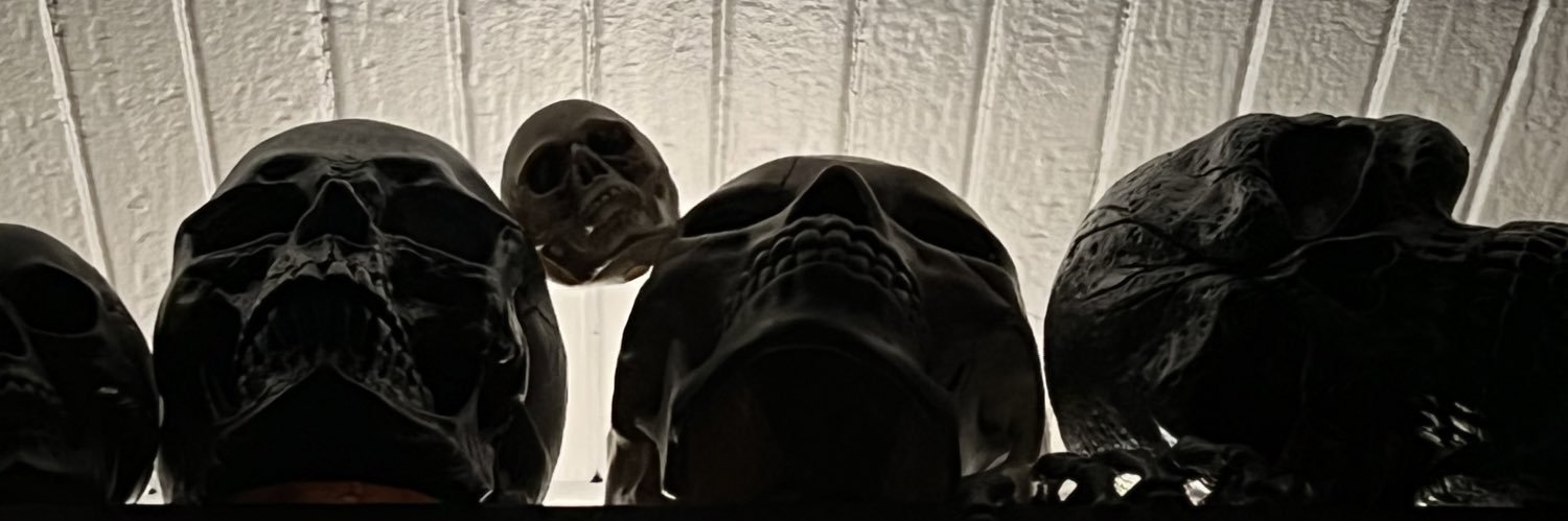 sphyngoman's profile banner image