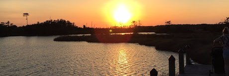 Jessica Nolan banner