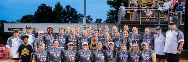 NandoSoftball Profile Banner