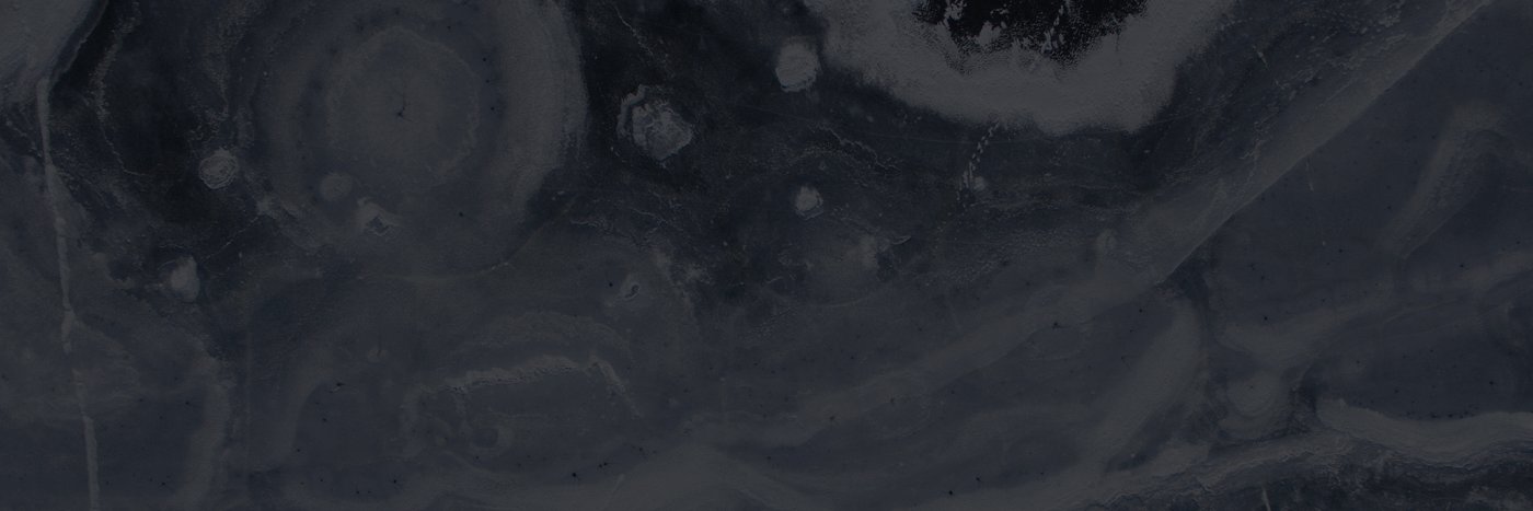 Institut Carnot Cognition banner