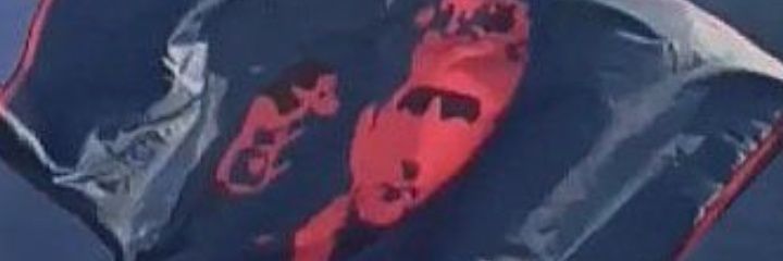 B O E D O 🐦‍⬛ banner