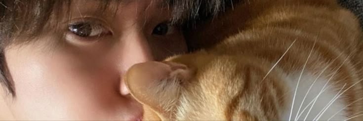 bibo | VAI VER O SKZ banner