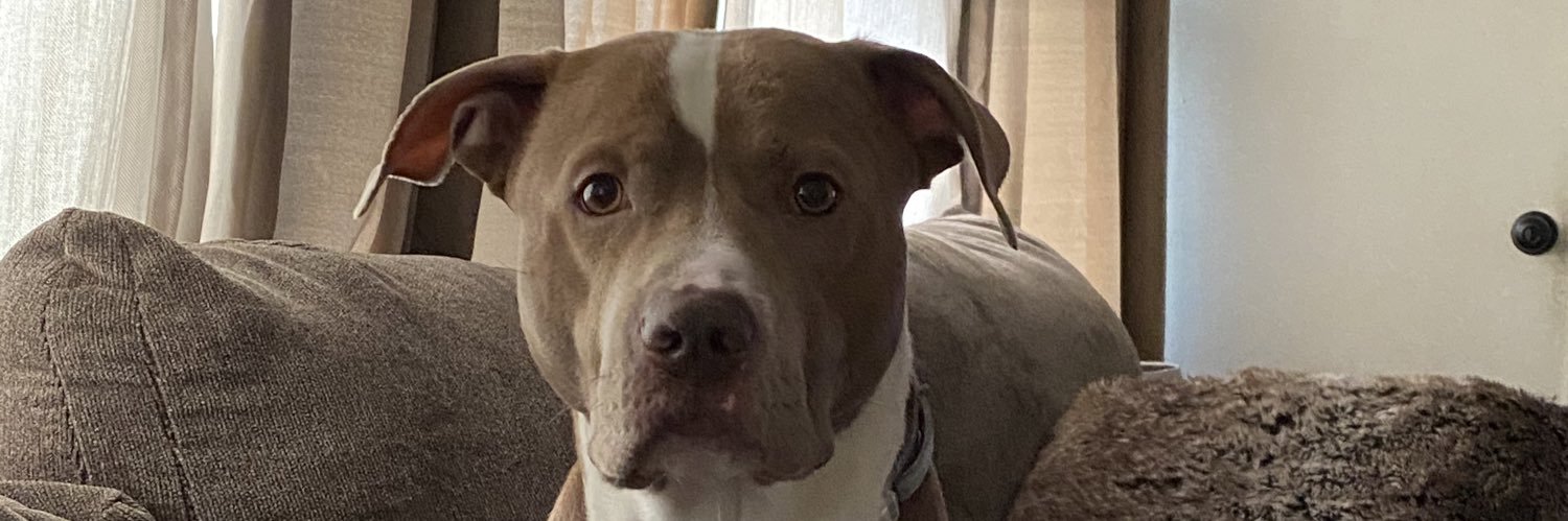 Sam_Chez15's profile banner image