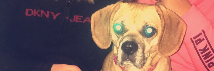 alohaaamariaaa's profile banner image