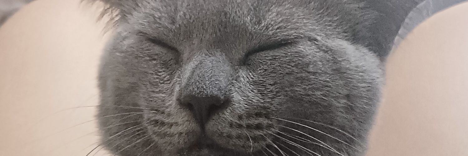 Rie🍦🇻🇳 banner