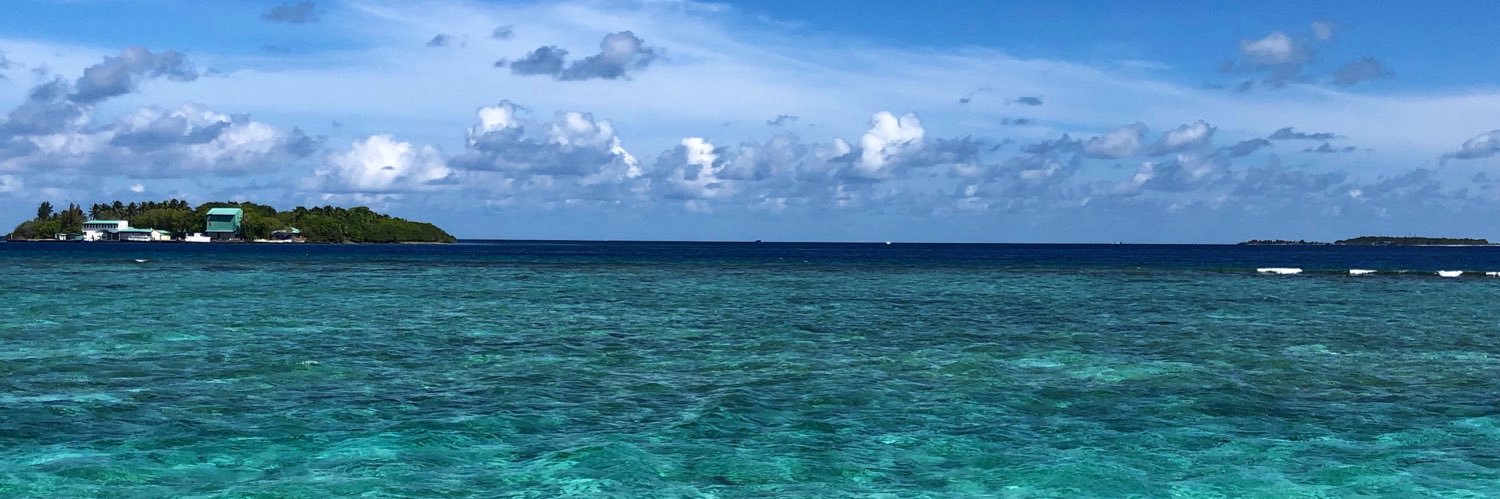 The Chinese Five Elements Oracle banner