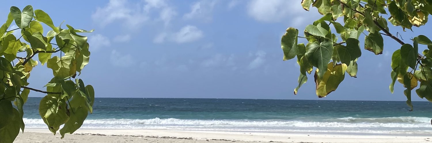 MsNavarroSpEd's profile banner image