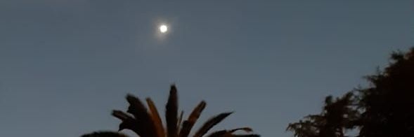 fckLB0618's profile banner image