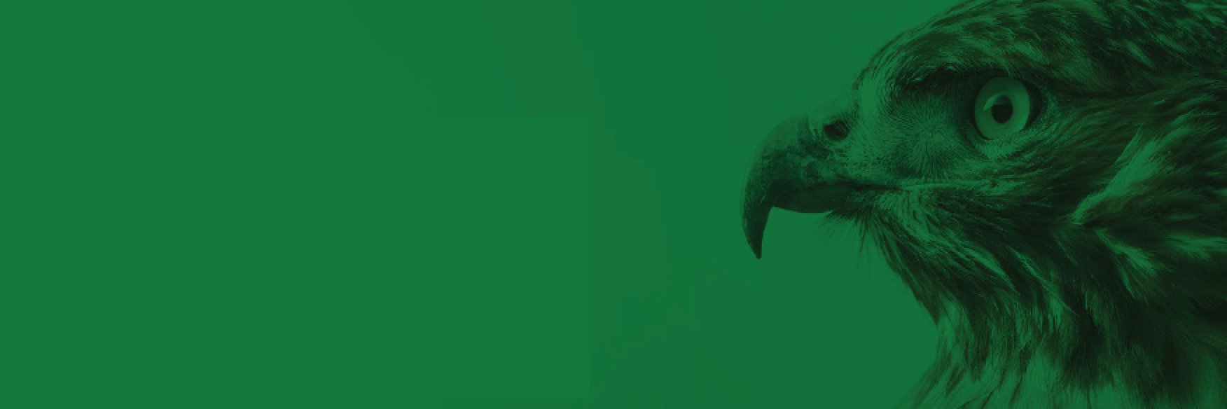 Truehawk Media banner
